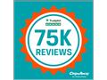 ChipsAway Celebrates 75,000 Reviews on Trustpilot